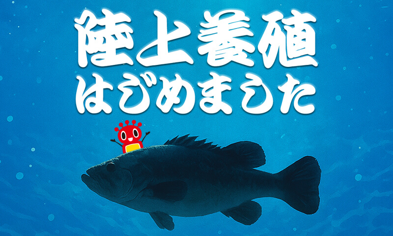 陸上養殖のトライアル実施について 